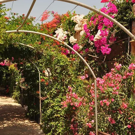 Siesta Hotel de apartamente 3*