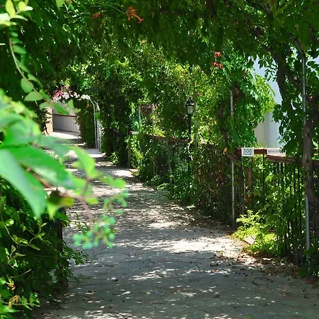 Siesta 3* Gümbet