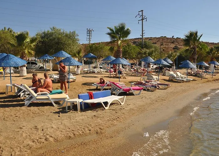 Siesta 3* Bodrum
