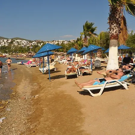 시에스타 비치 아파트먼트 3* Bodrum