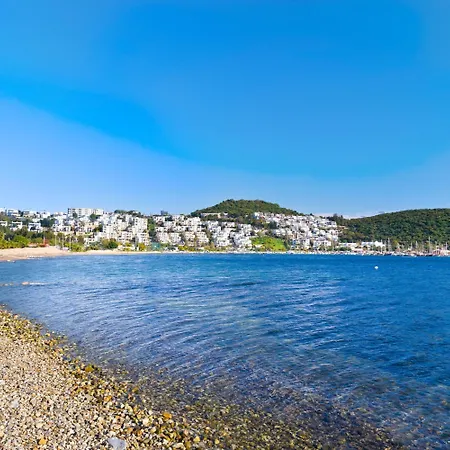 Siesta 3* بودروم