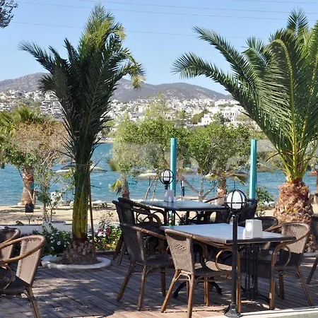 시에스타 비치 아파트먼트 아파트호텔 Bodrum