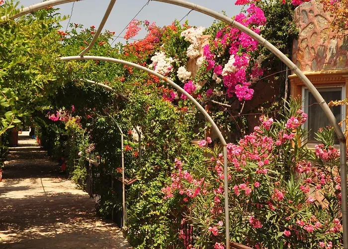 Siesta Aparthotel 3*